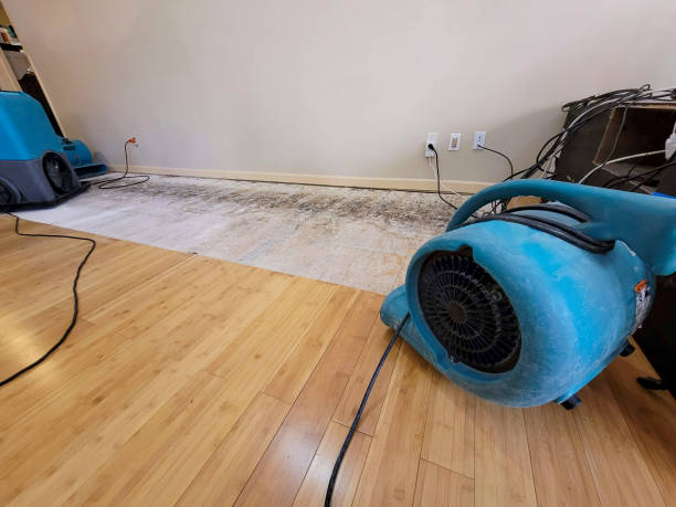 Professional Structural Drying technician working in Columbia, IA